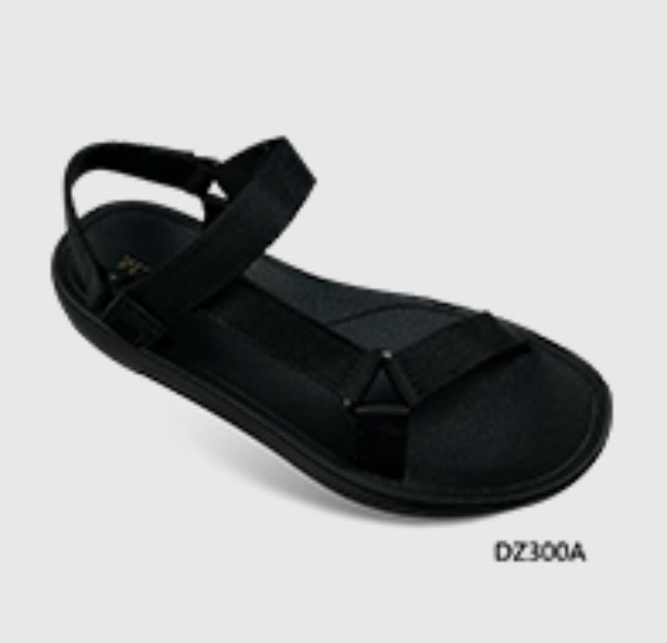 DZ300A